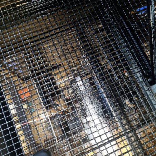 WhatsApp Image 2025-10-08 at 14.03.00