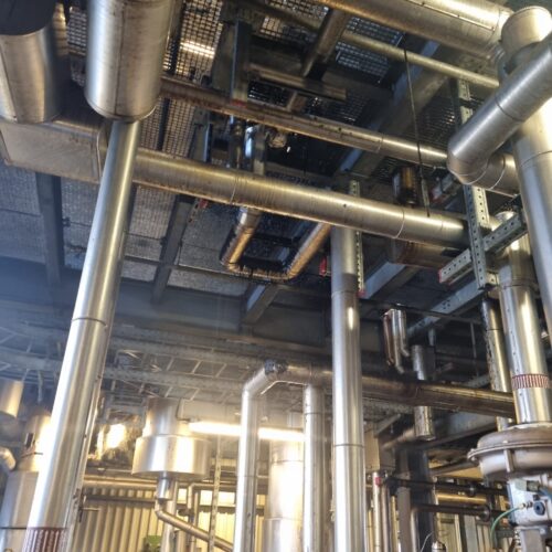 WhatsApp Image 2025-10-08 at 14.03.01 (4)